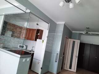 Апартаменты Суточные квартиры Алматы Апартаменты с 1 спальней-5